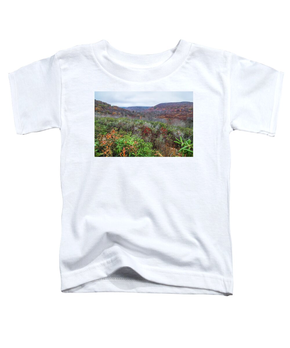 Mountain Toddler T-Shirt featuring the photograph Graveyard fields overlook in the smoky mountains in north caroli #8 by Alex Grichenko