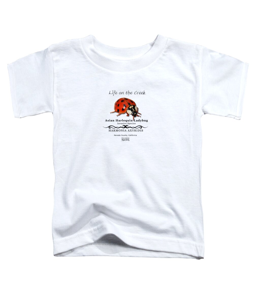 Ladybug Toddler T-Shirt featuring the digital art Asian Harlequin Ladybug by Lisa Redfern