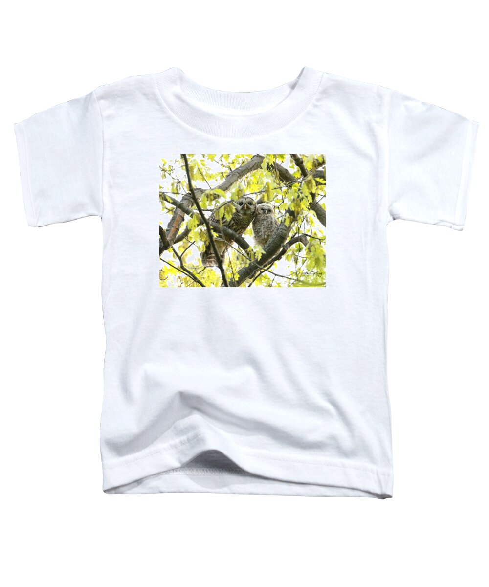 Baby Owl Toddler T-Shirt featuring the photograph Barred owl mother and child by Heather King
