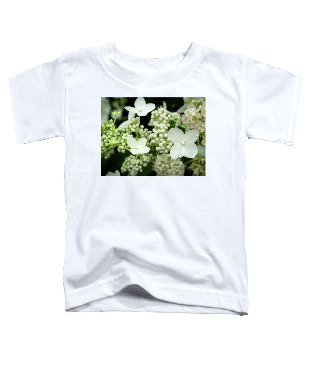 Flowers Toddler T-Shirt featuring the photograph Blossom Family by David Coblitz