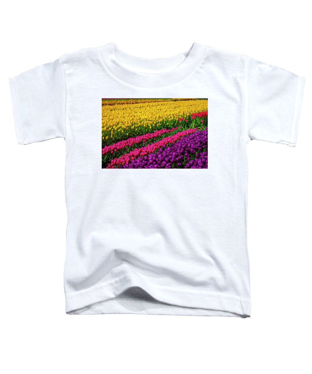 Tulip Toddler T-Shirt featuring the photograph Colorful Rows Of Spring Tulips by Garry Gay