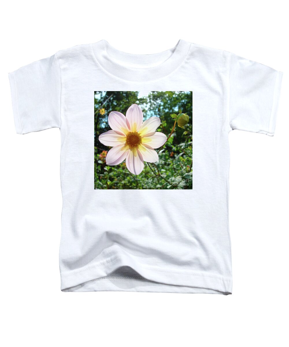 Dahlia Toddler T-Shirt featuring the photograph Dahlia 20 by Amy E Fraser