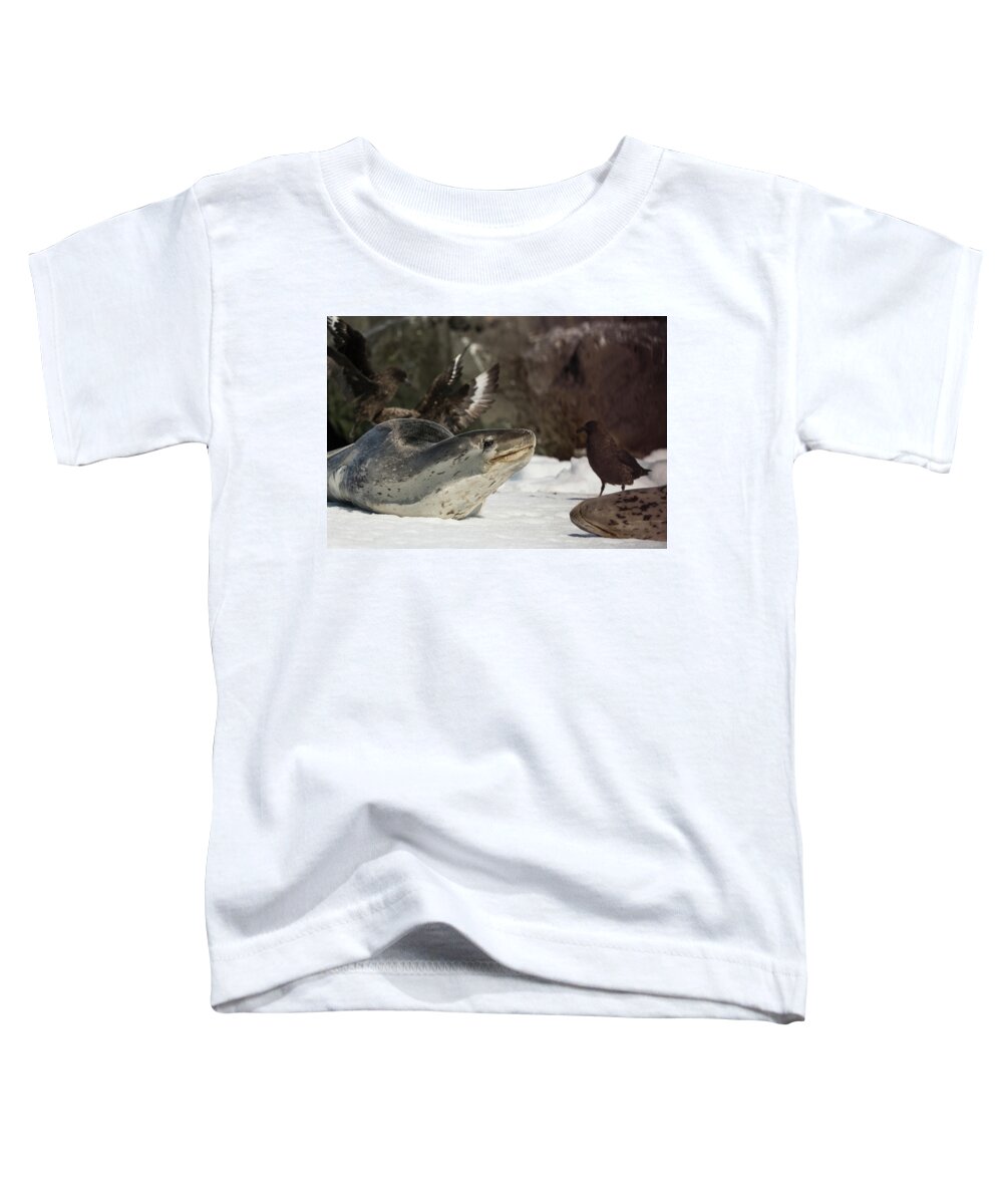 Seal Toddler T-Shirt featuring the photograph Deadly Charm by Alex Lapidus