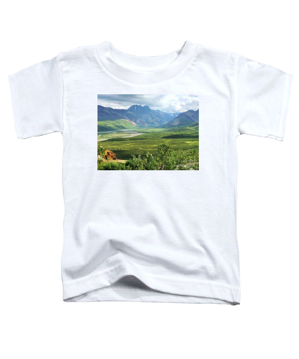 Alaska Toddler T-Shirt featuring the photograph Denali by Jeanette French