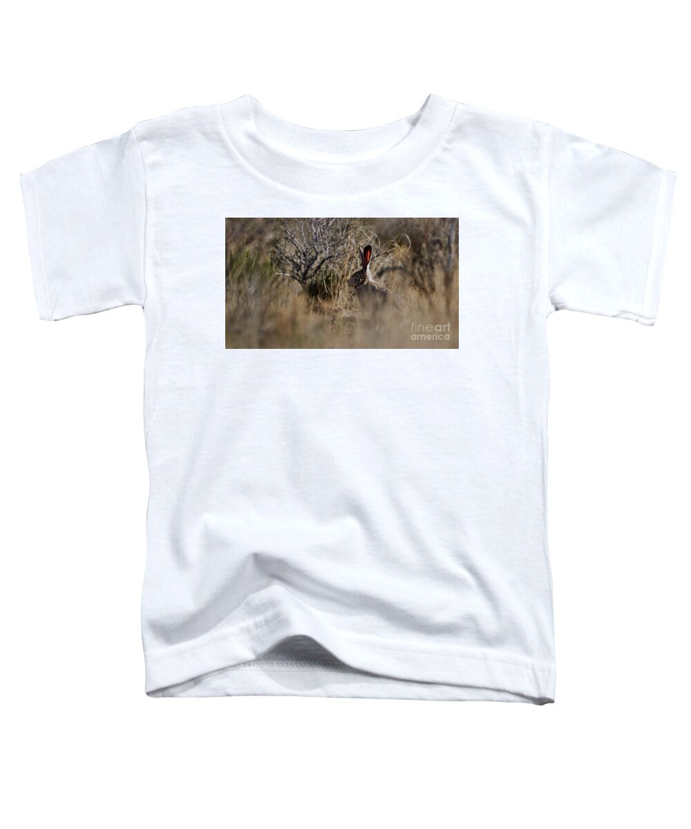 Desert Rabbit Toddler T-Shirt featuring the photograph Desert Rabbit by Robert WK Clark