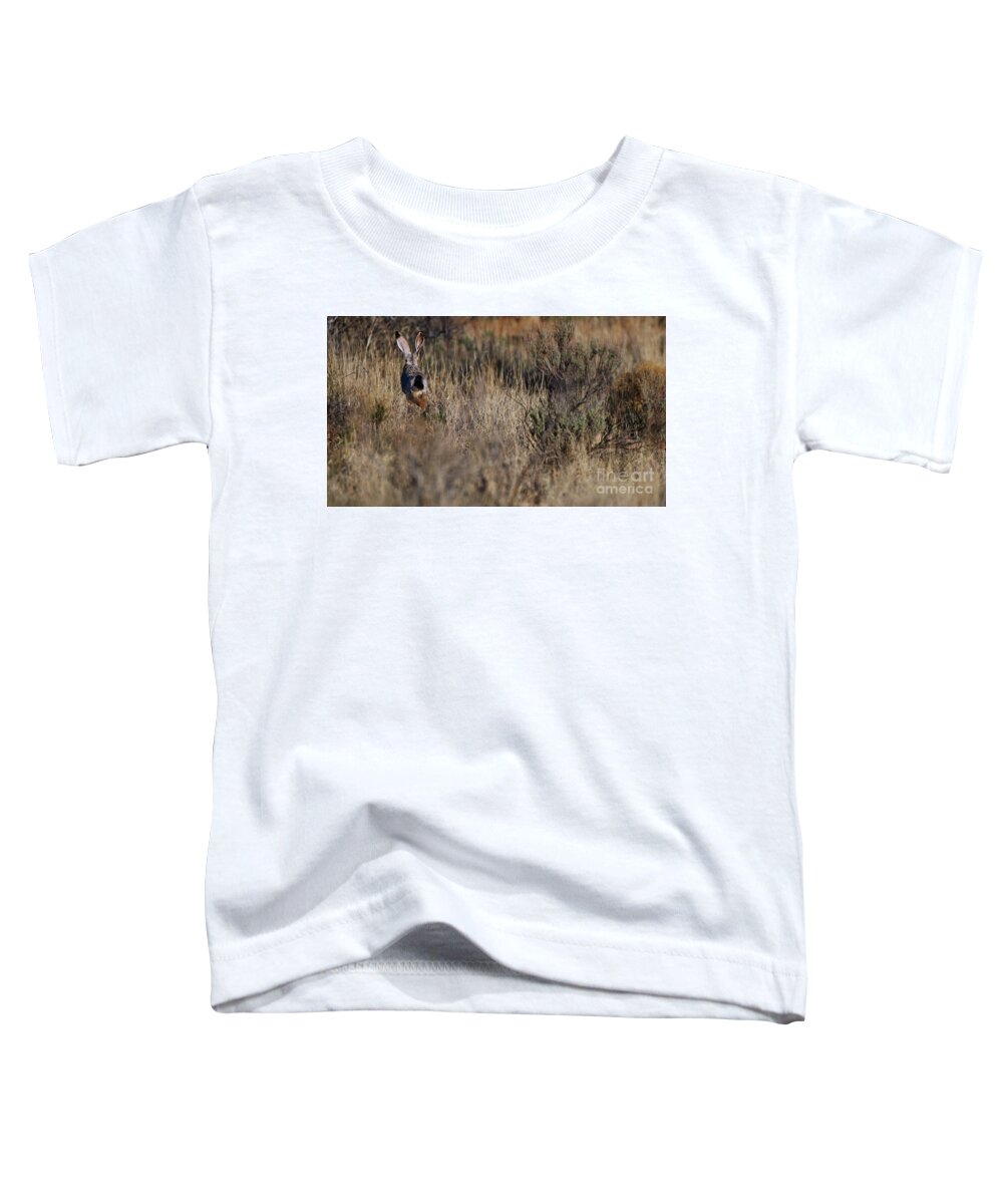 Desert Rabbit Toddler T-Shirt featuring the photograph Evasion by Robert WK Clark