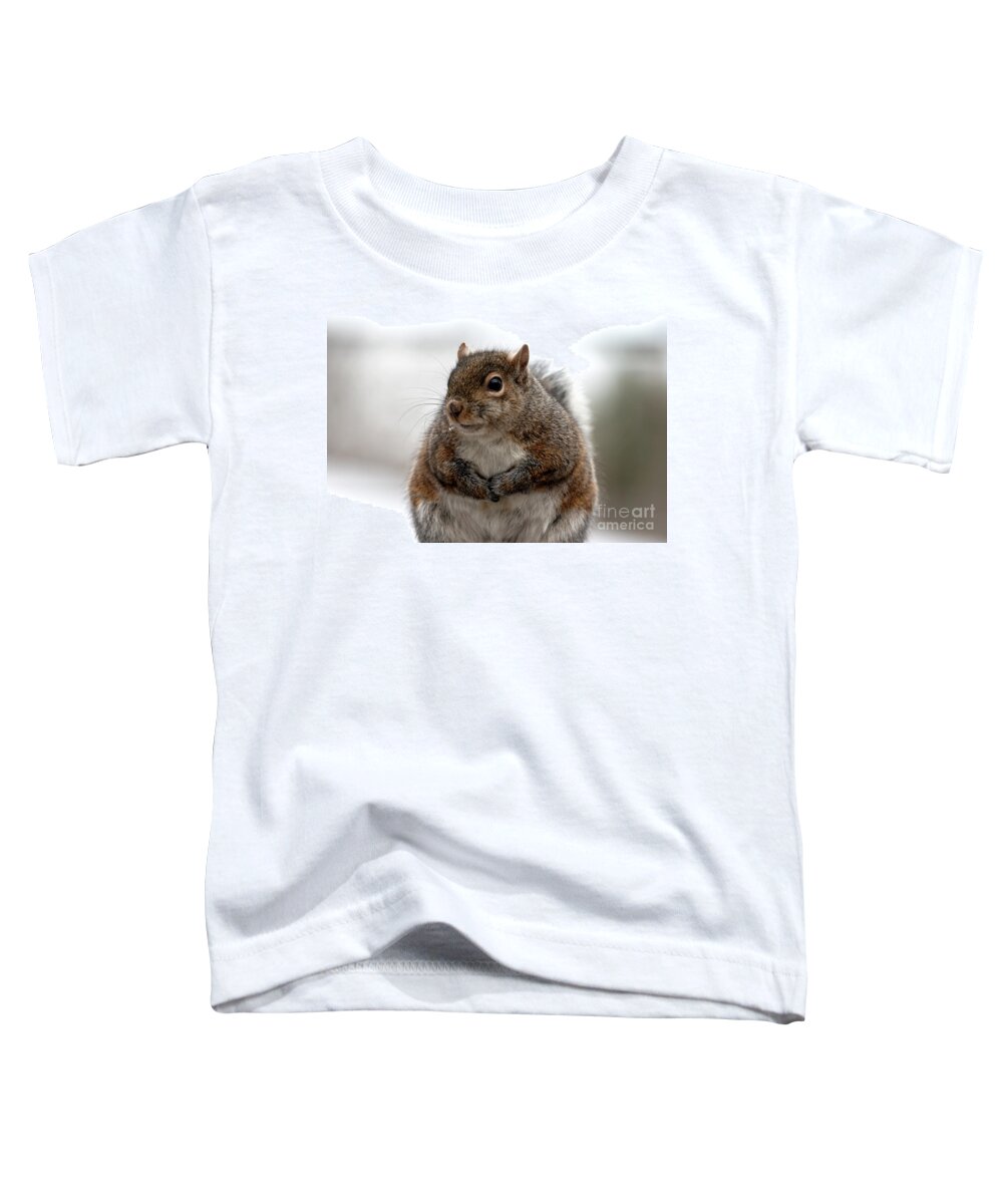 Squirrel Toddler T-Shirt featuring the photograph Feeling Fluffy, Squirrel Photo by Sandra J's