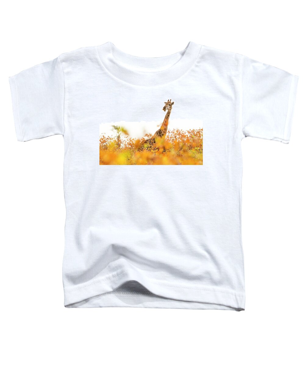 Sebastian Kennerknecht Toddler T-Shirt featuring the photograph Giraffe In Mopane Woodland by Sebastian Kennerknecht