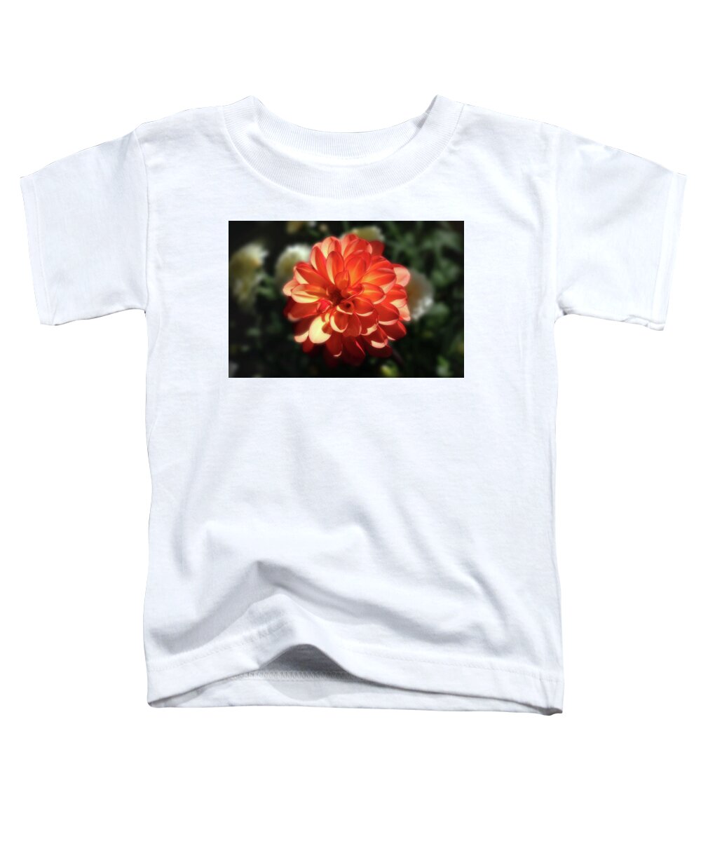 Dahlia Toddler T-Shirt featuring the photograph Gorgeous Orange Dahlia In The Sunlight by Johanna Hurmerinta