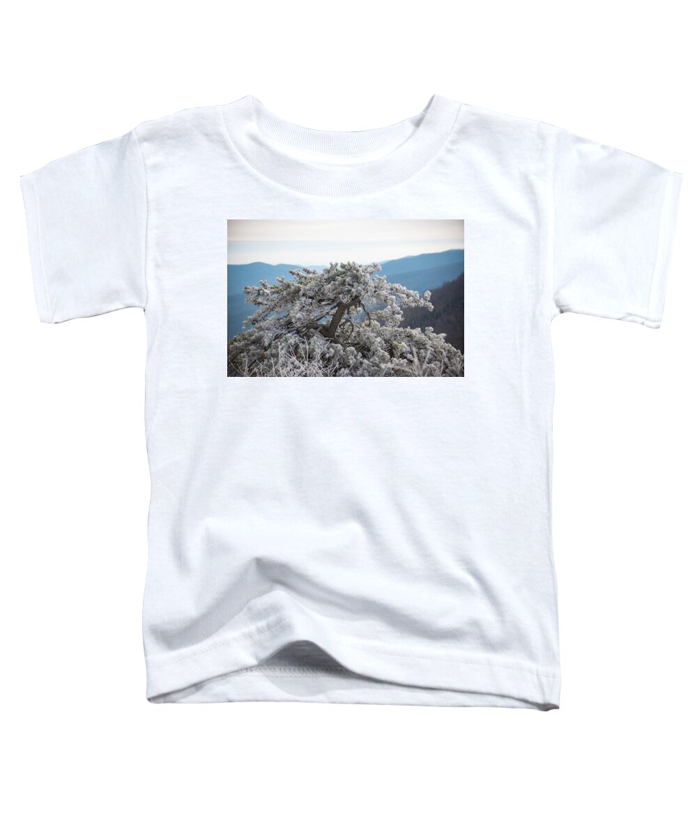 Blue Ridge Toddler T-Shirt featuring the photograph Hoarfrost in the Blue Ridge Mountains by Mark Duehmig