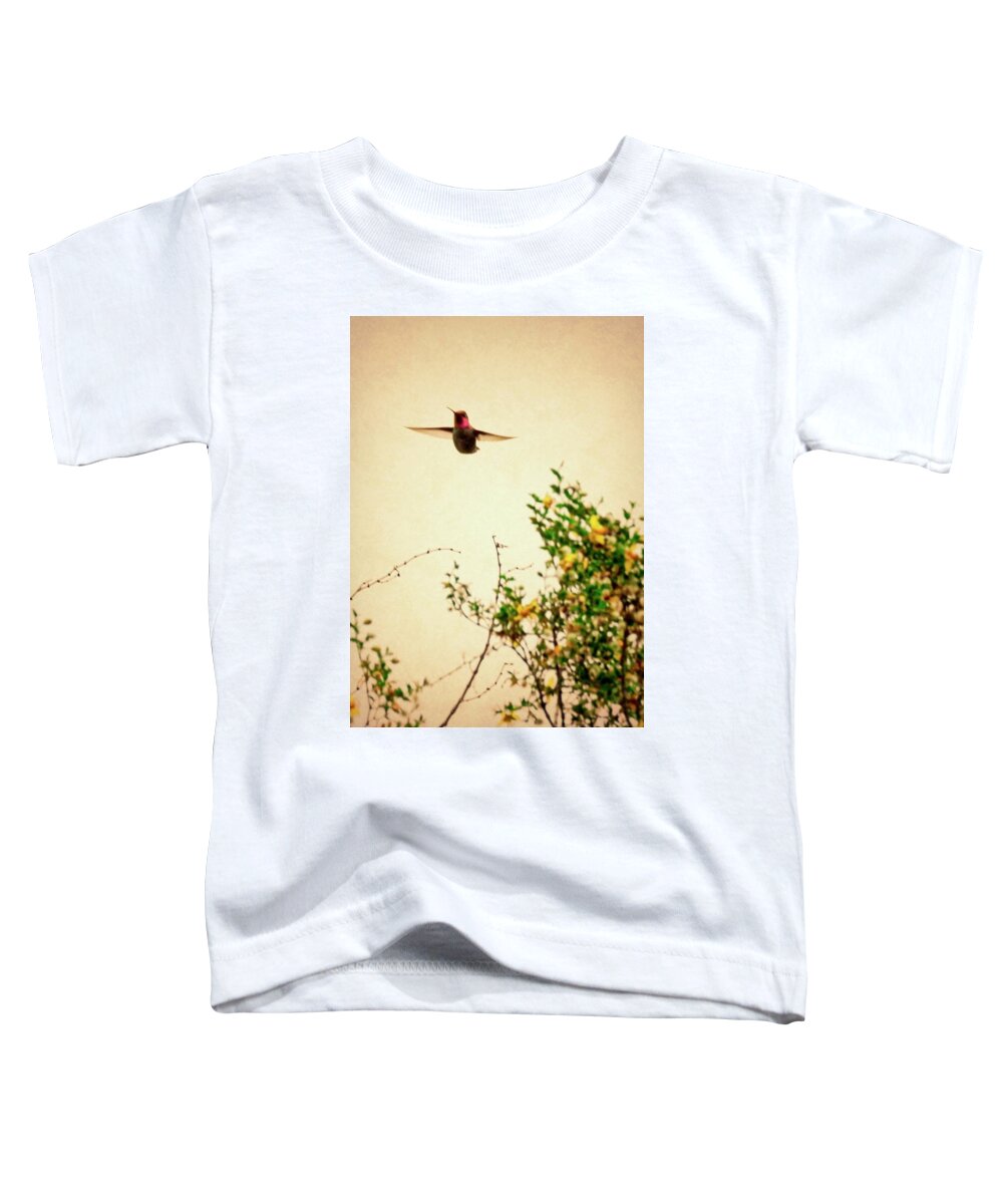 Costa's Hummingbird Toddler T-Shirt featuring the photograph Hummingbird and Creosote Blooming by Judy Kennedy