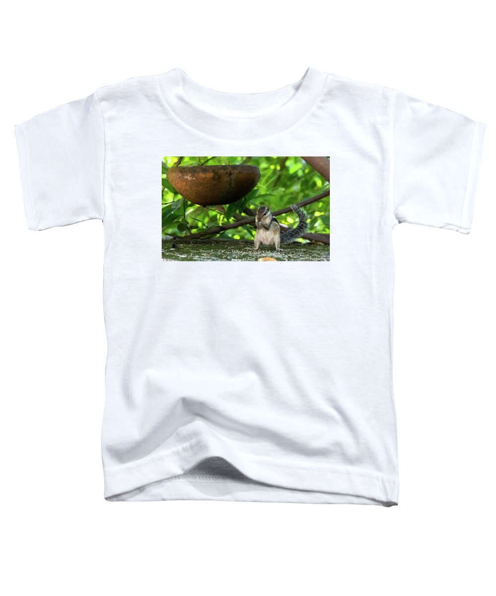 Squirrel Toddler T-Shirt featuring the photograph Indian Palm Squirrel by Amy Sorvillo