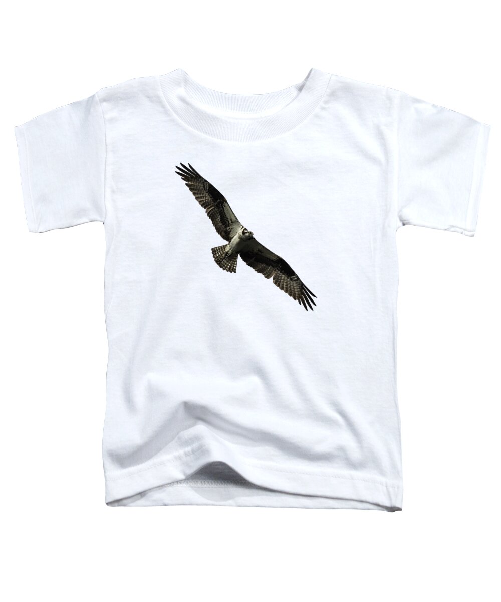 Osprey Toddler T-Shirt featuring the photograph Isolated Osprey 2019-4 by Thomas Young