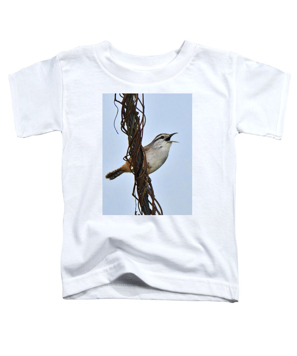 Panama Birds Toddler T-Shirt featuring the photograph Isthmian Wren by Alan Lenk