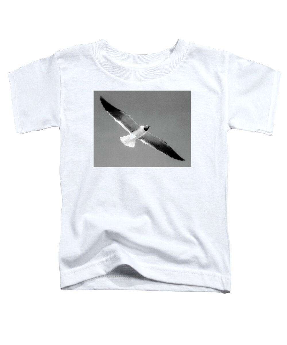 Laughing Seagull Toddler T-Shirt featuring the photograph Laughing Seagull by Greg Reed