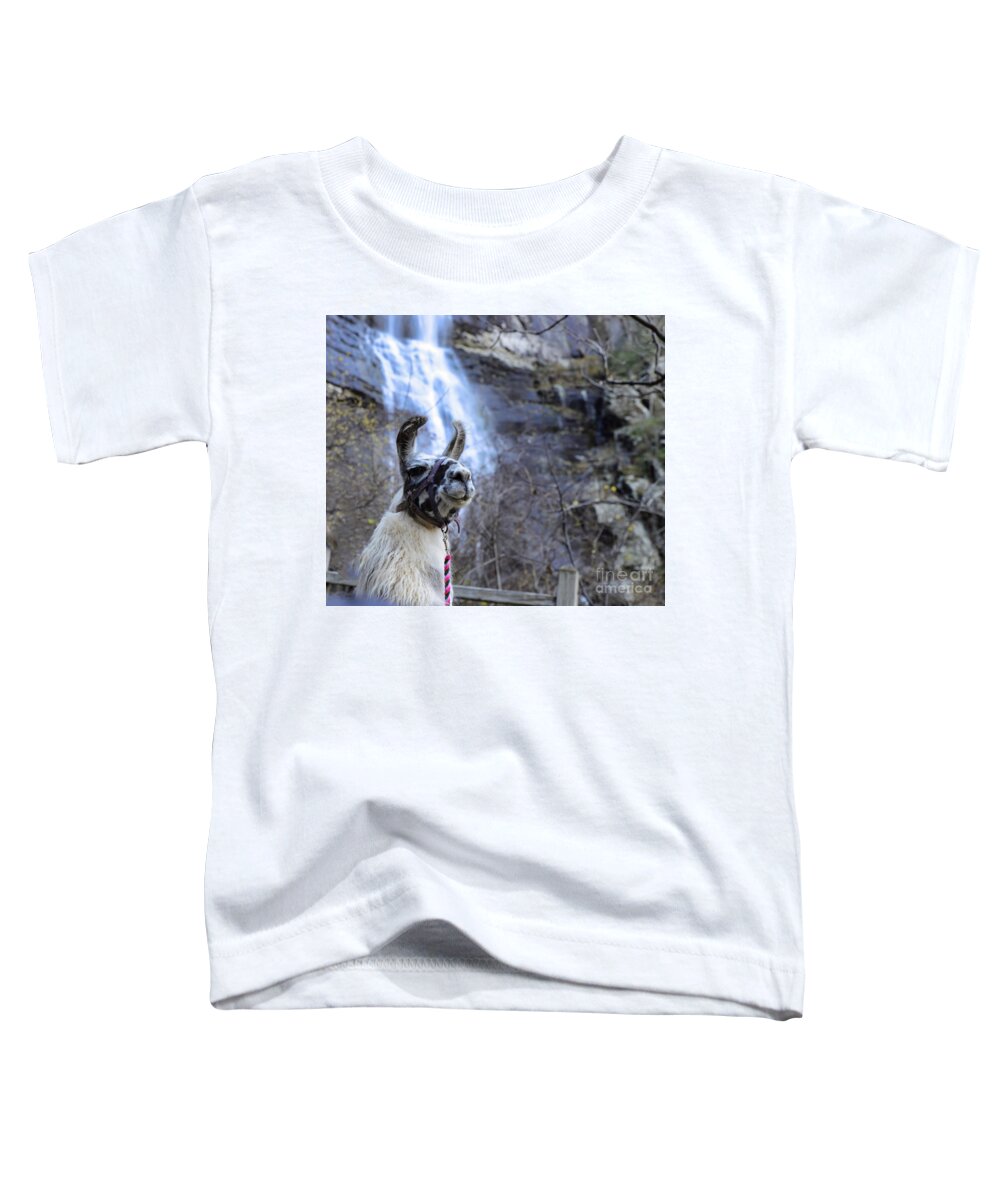 Llama Toddler T-Shirt featuring the photograph Llama Waterfall by Buddy Morrison
