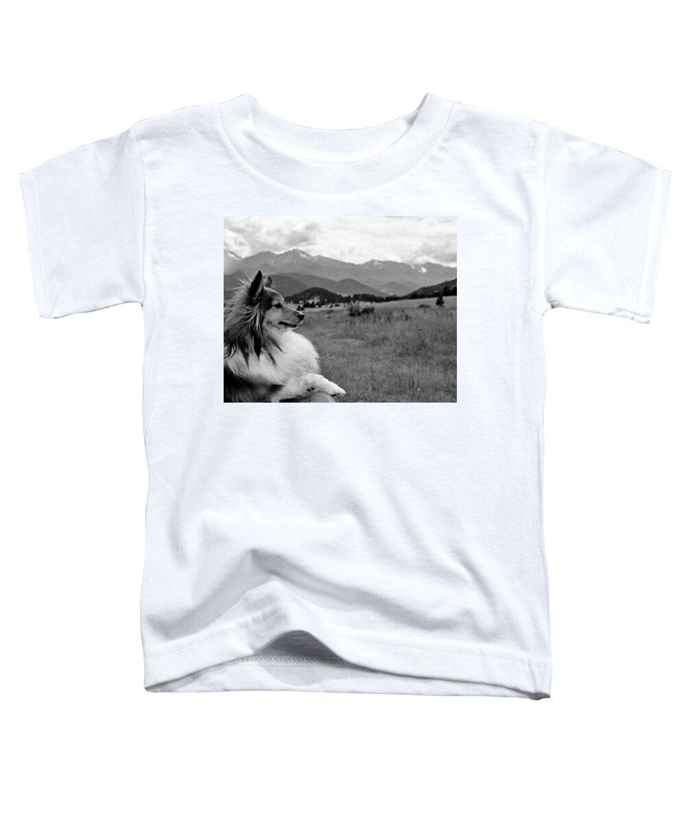 Luna Toddler T-Shirt featuring the photograph Luna and Estes Study 1 by Robert Meyers-Lussier