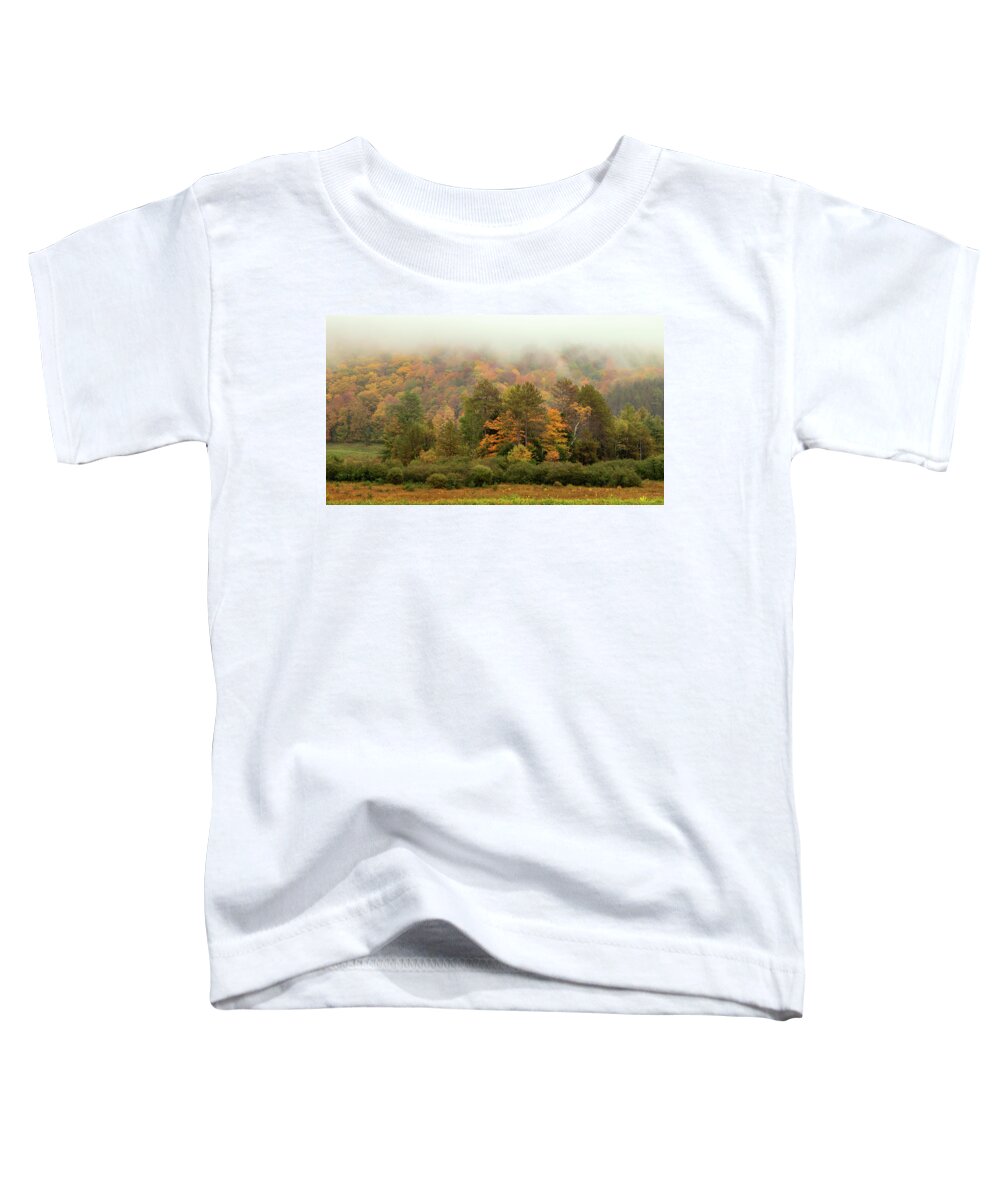 Autumn Toddler T-Shirt featuring the photograph Misty Mountain by Rod Best