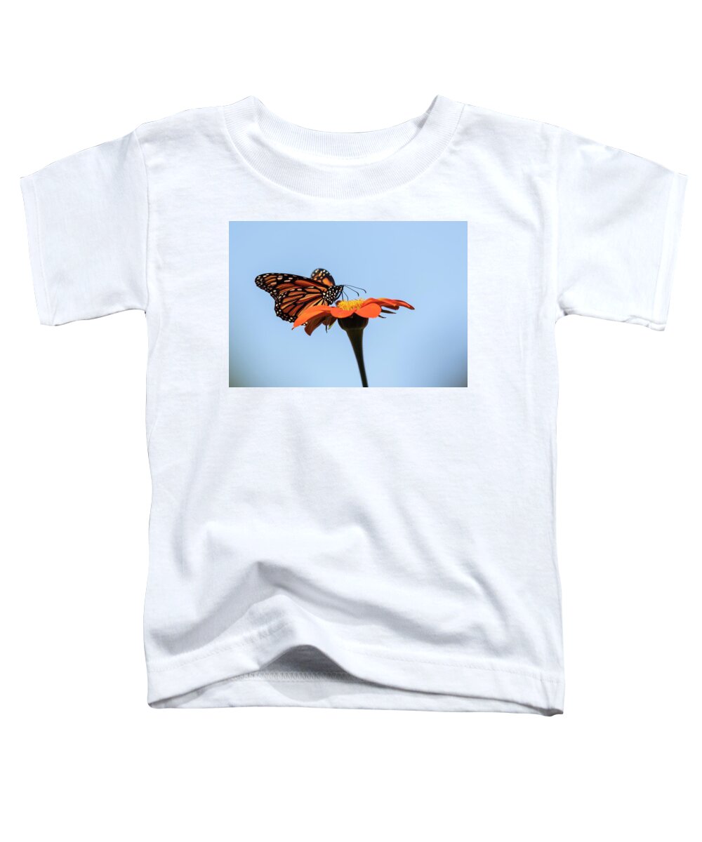 Monarch Butterfly Toddler T-Shirt featuring the photograph Monarch 2018-27 by Thomas Young