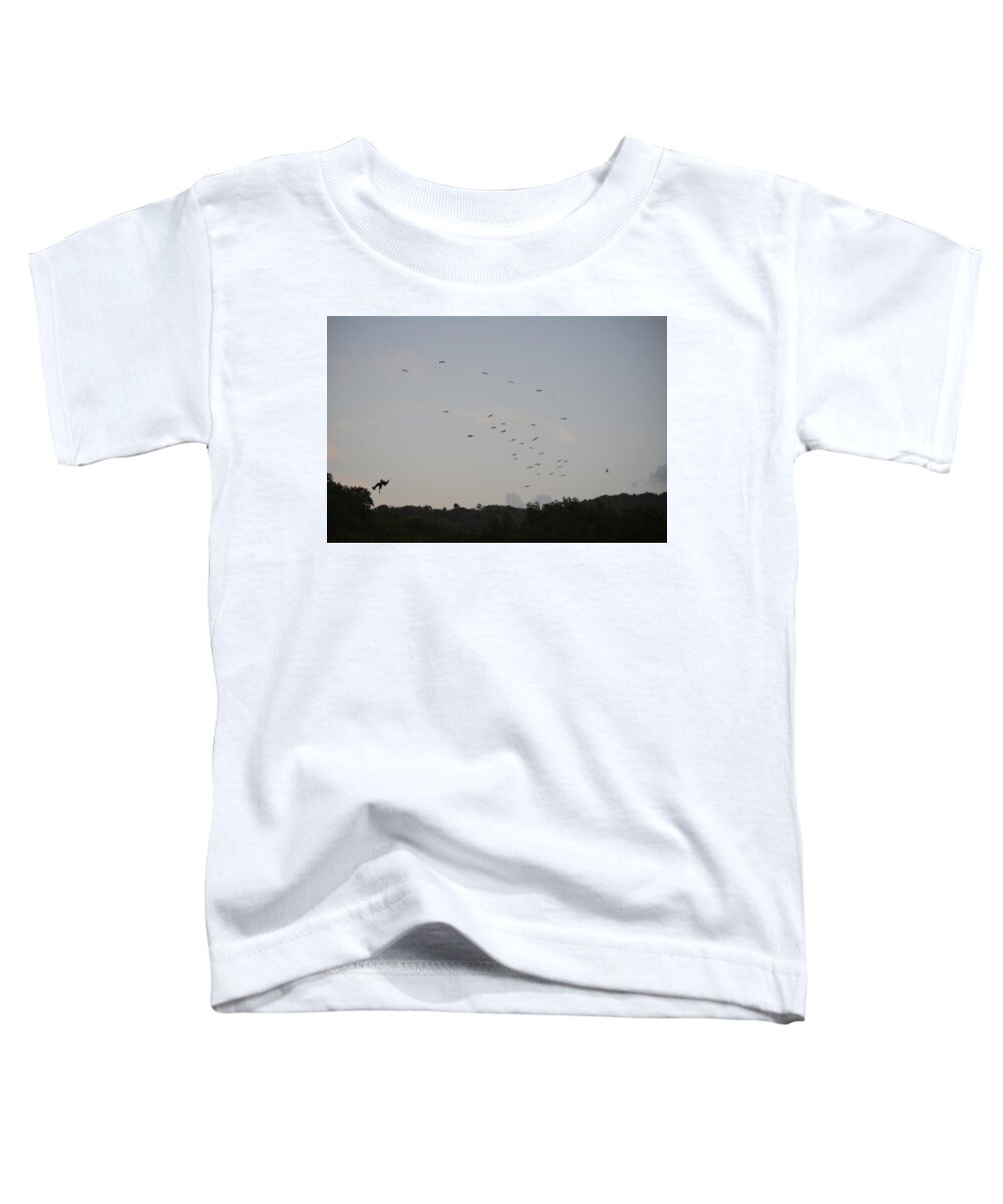 Brown Pelican Toddler T-Shirt featuring the photograph Morning Flock Rise by Climate Change VI - Sales