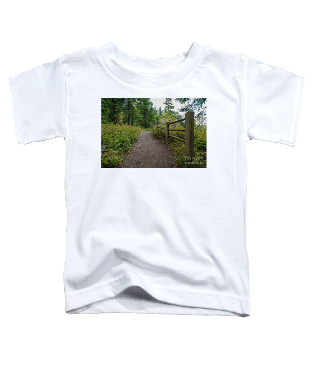 Trail Toddler T-Shirt featuring the photograph Overlook at Jay Cooke by Susan Rydberg