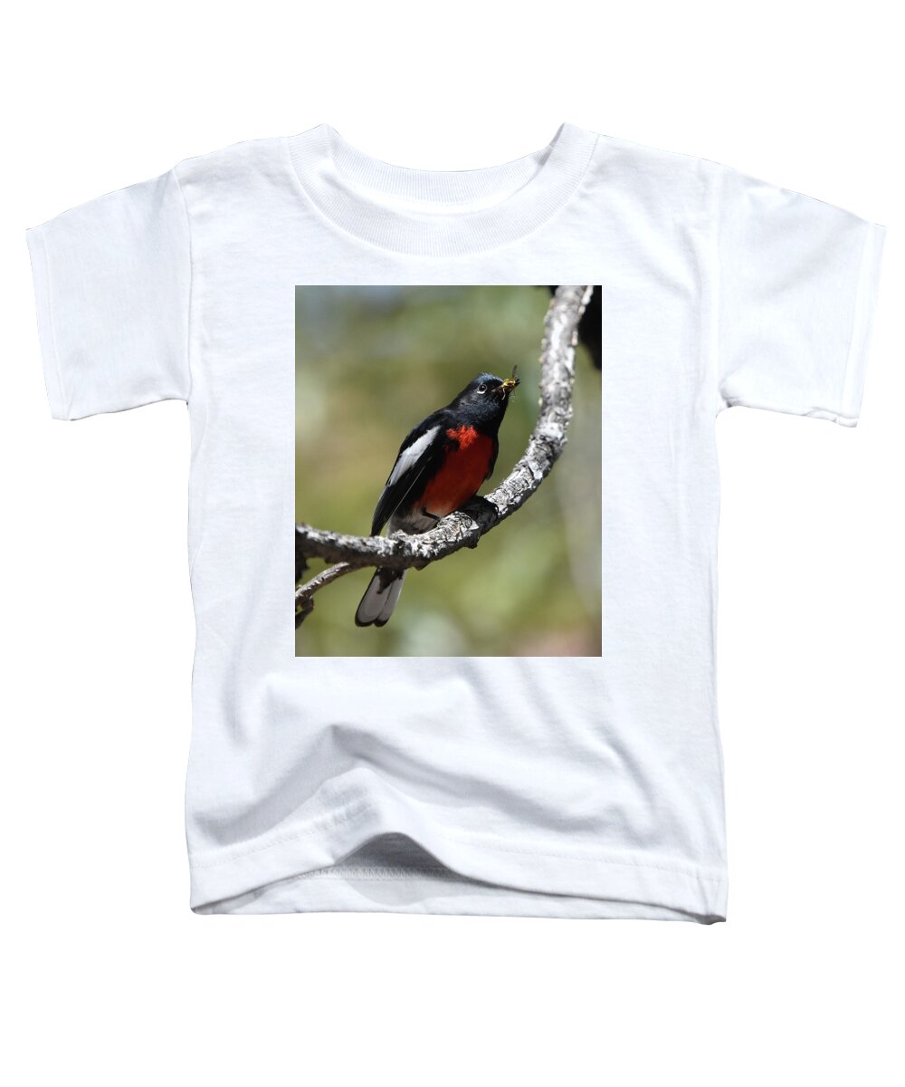Bird Toddler T-Shirt featuring the photograph Painted Restart with a Catch by Ben Foster