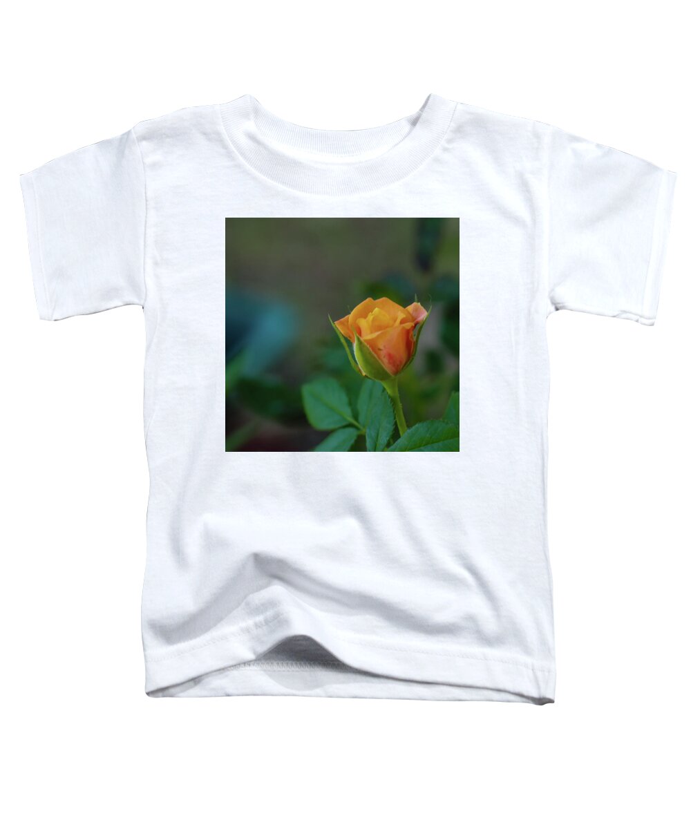 Rose Toddler T-Shirt featuring the photograph Peach Rose 2 by C Winslow Shafer