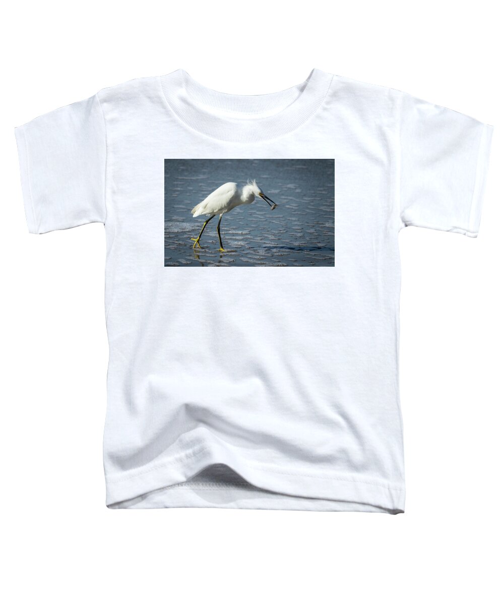 Snowy Egret On Beach Toddler T-Shirt featuring the photograph Snowy Egret at the Beach by Elizabeth Waitinas