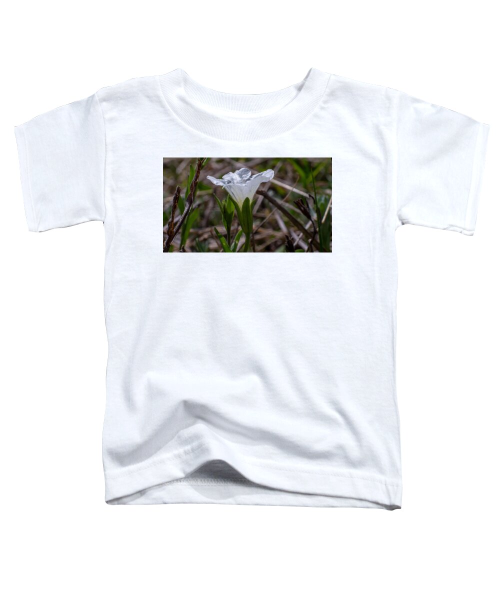 Lit By The Point-like Direct Midday Sun Toddler T-Shirt featuring the photograph Sparkly White Flower by Ivars Vilums