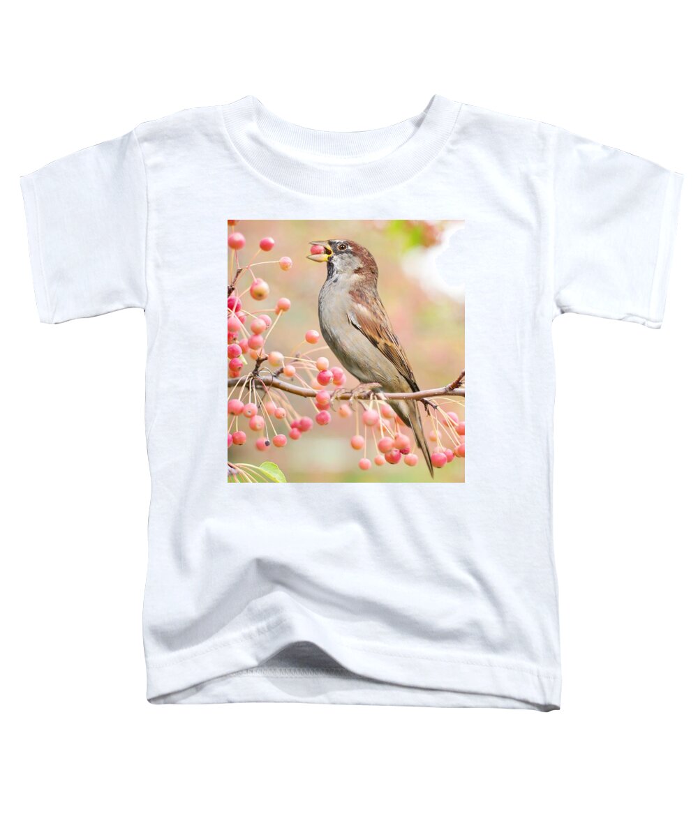 Cute Toddler T-Shirt featuring the photograph Sparrow eating berries by Top Wallpapers