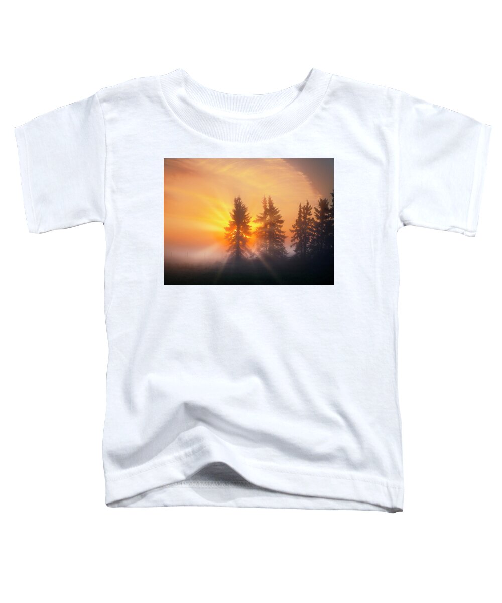 Spruce Trees Toddler T-Shirt featuring the photograph Spruce Trees in the Morning by Dan Jurak