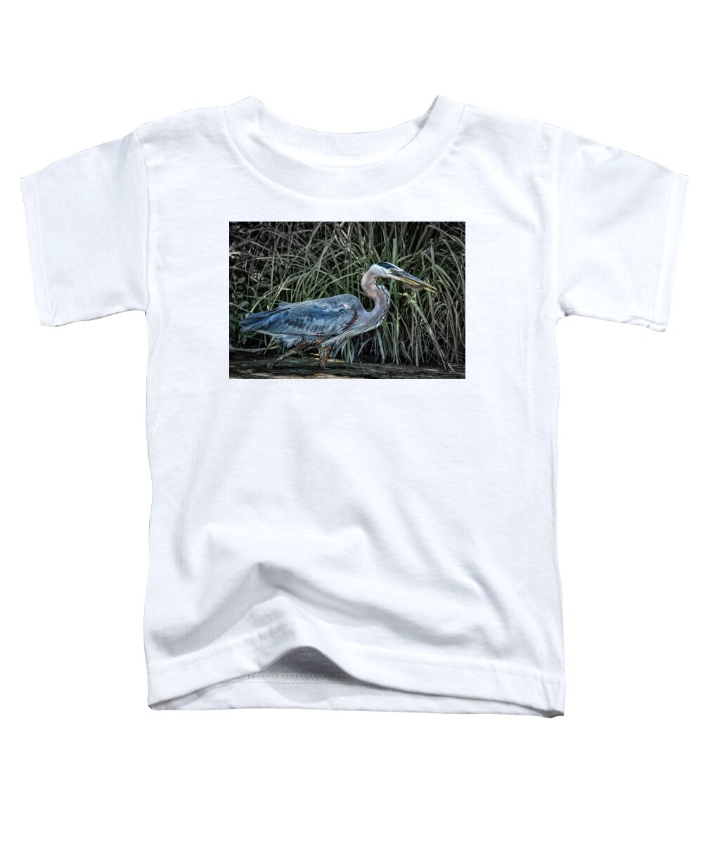 Birds Toddler T-Shirt featuring the photograph Tasty Treat by Ray Silva