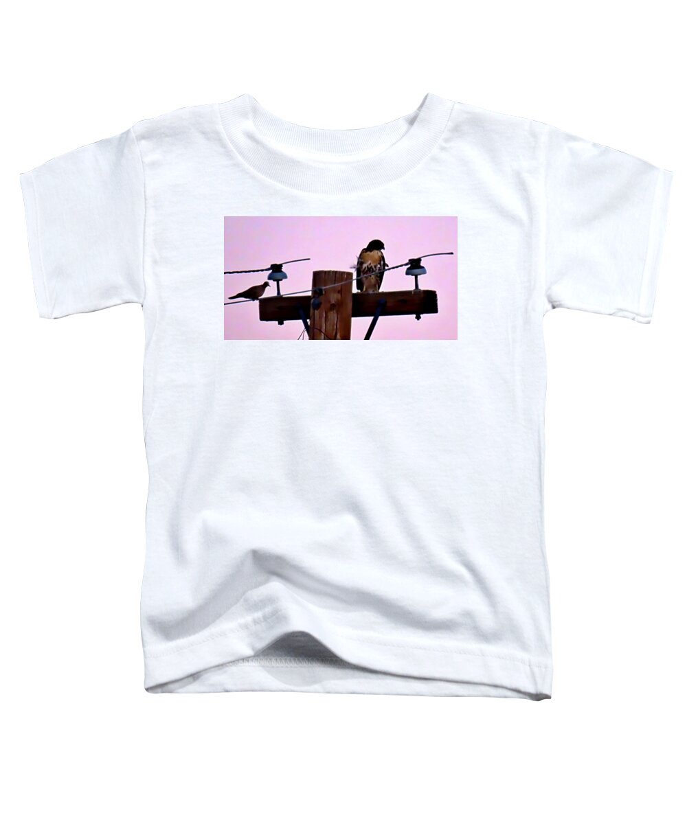 Affordable Toddler T-Shirt featuring the photograph The Hawk and the Dove After Sundown by Judy Kennedy