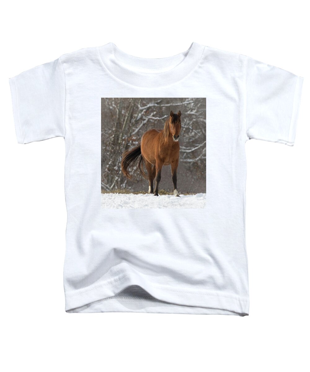 Andalusian Toddler T-Shirt featuring the photograph The Watcher by Art Cole