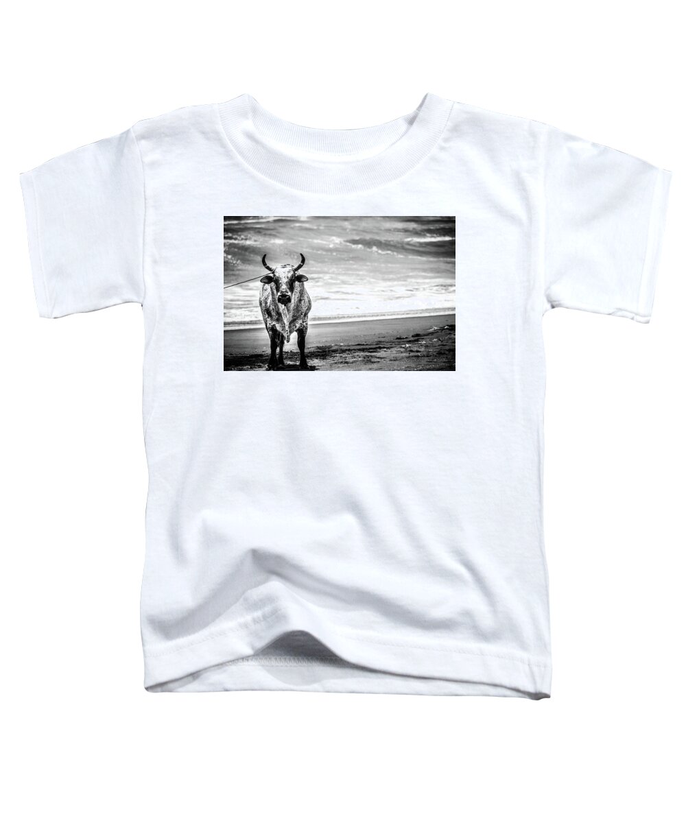 Very Large Bull Staring At The Camera On A Costa Rican Beach. Playa Hermosa. Toddler T-Shirt featuring the photograph Toro della Playa by Tito Slack