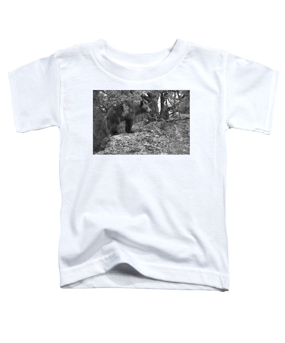 Black Bear Toddler T-Shirt featuring the photograph Where THe Cliffs Meet The Forest Black And White by Adam Jewell