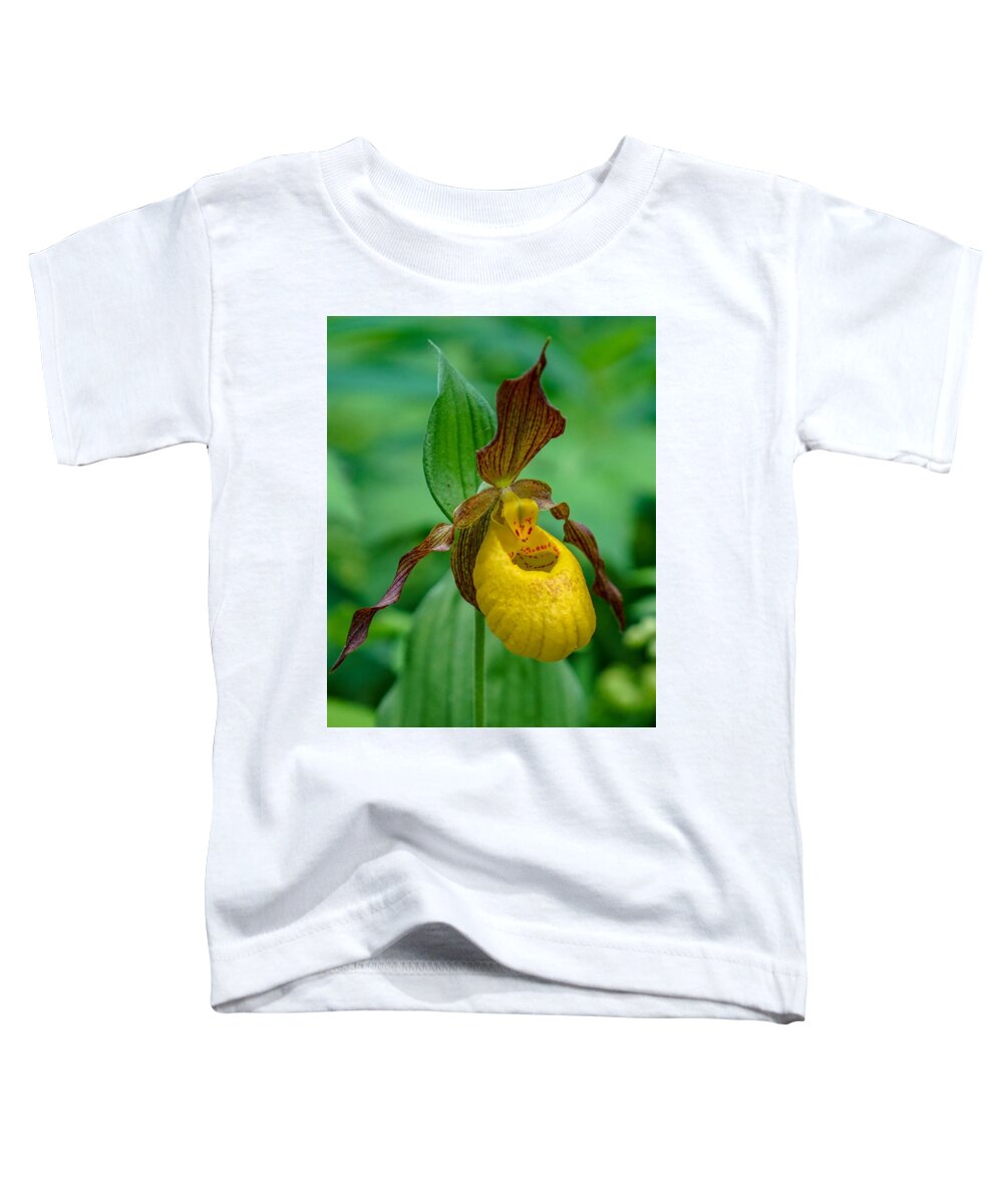 Flower Toddler T-Shirt featuring the photograph Yellow Lady's Slipper by Susan Rydberg