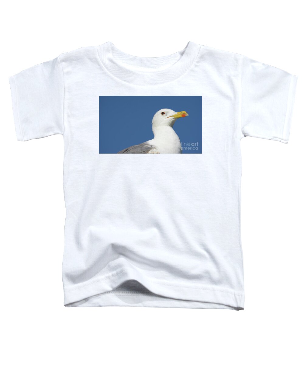 Eye Toddler T-Shirt featuring the photograph Yellow-legged Gull Head Detail by Pablo Avanzini
