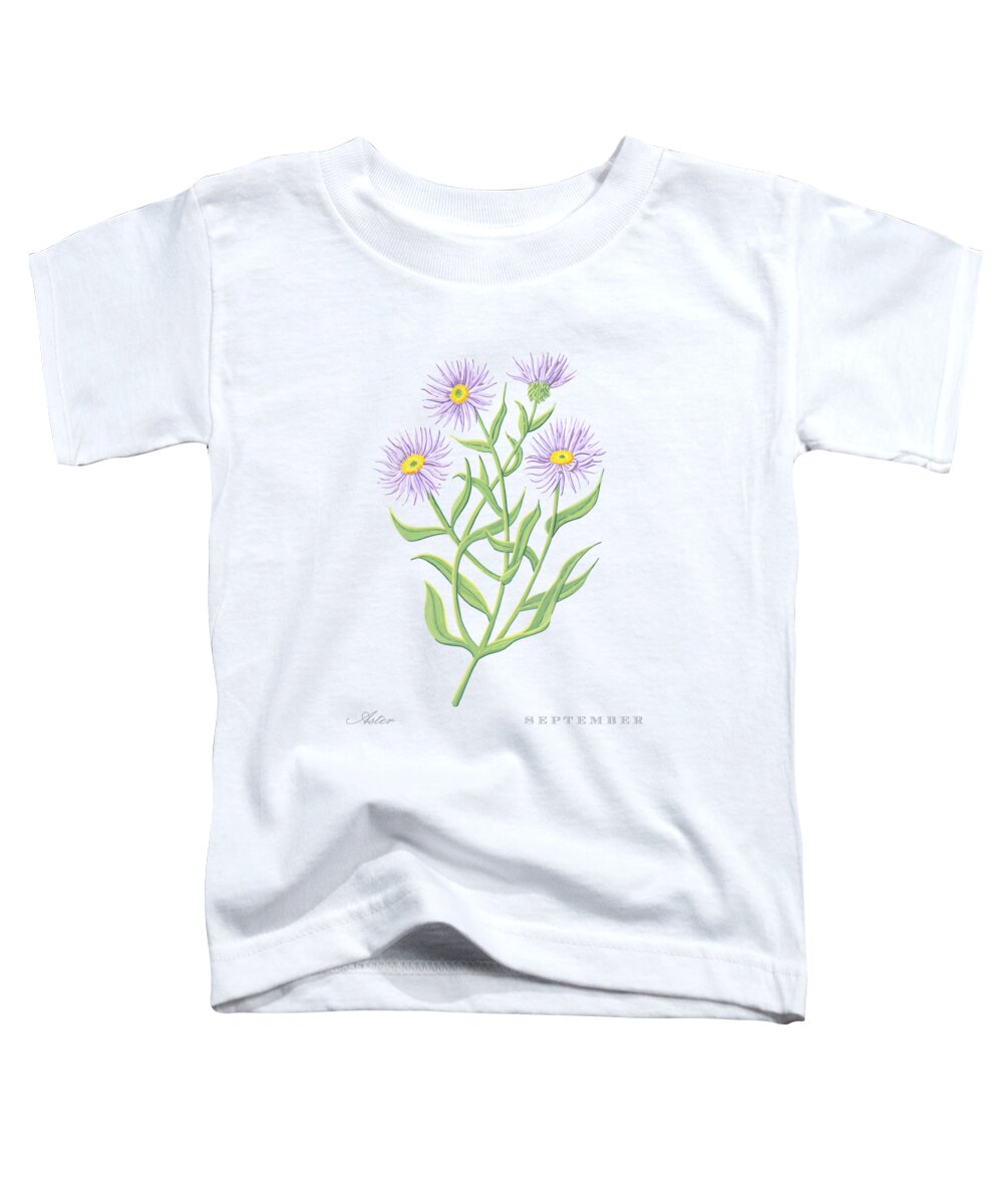 Aster Toddler T-Shirt featuring the painting Aster September Birth Month Flower Botanical Print on White - Art by Jen Montgomery by Jen Montgomery