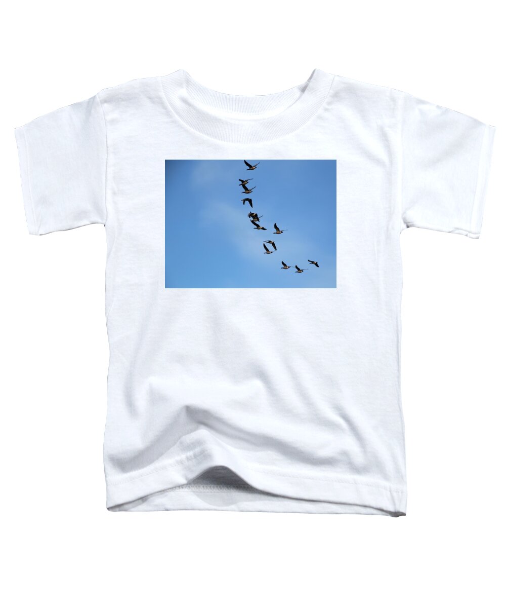 Geese Toddler T-Shirt featuring the photograph Overflights 8 #1 by Jaroslav Buna