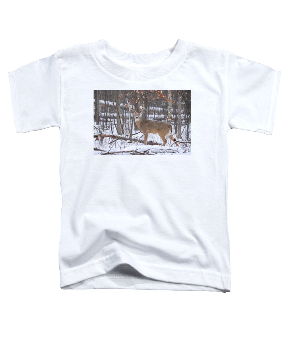 Whitetail Toddler T-Shirt featuring the photograph Whitetail Buck #17 by Brook Burling