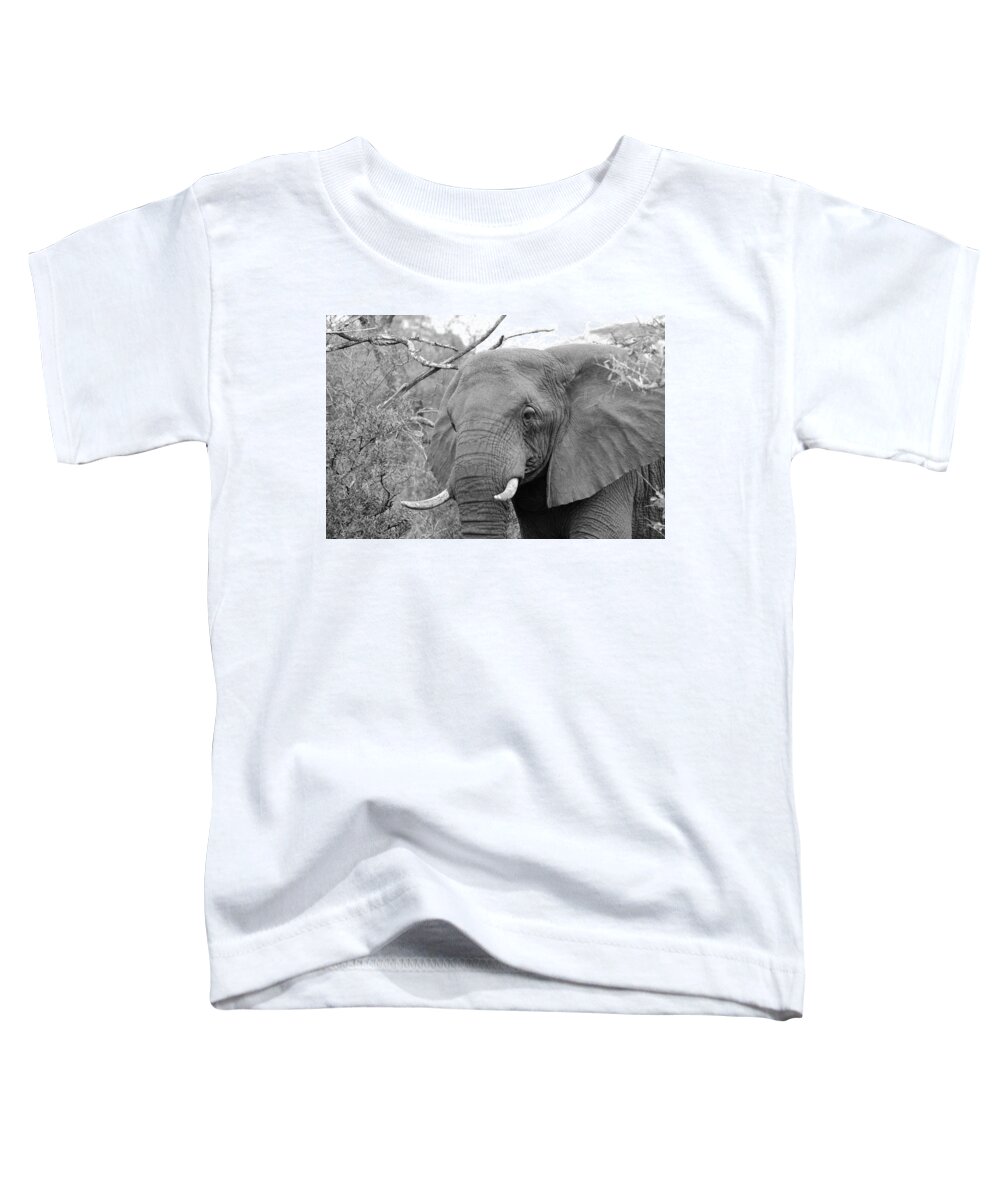 Elephant Toddler T-Shirt featuring the photograph Elephant Love #1 by Fiona Kennard
