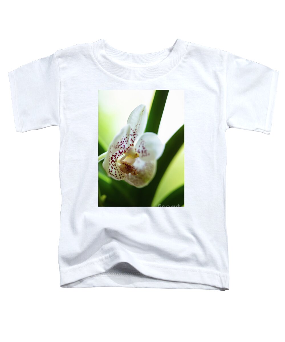 Background Toddler T-Shirt featuring the photograph Spotted Orchid Flower #3 by Raul Rodriguez