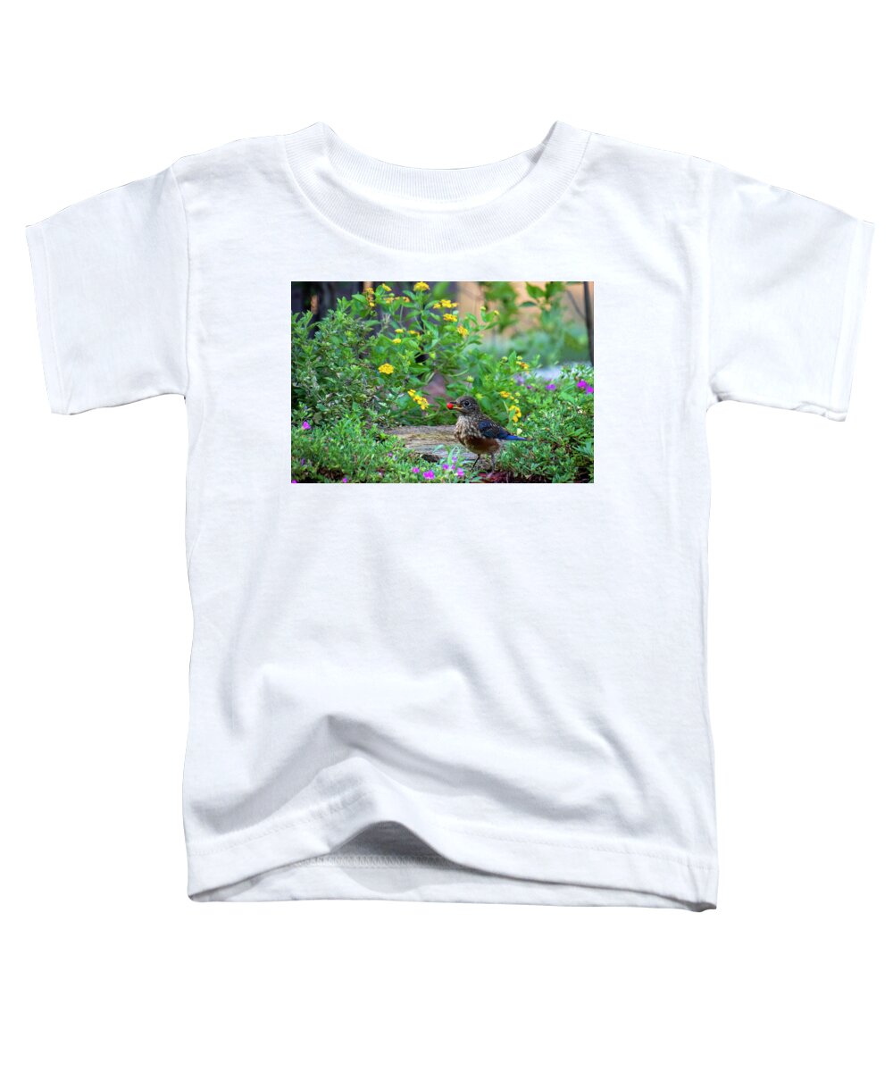 Bluebird Toddler T-Shirt featuring the photograph A Berry Good Morning by Mary Buck