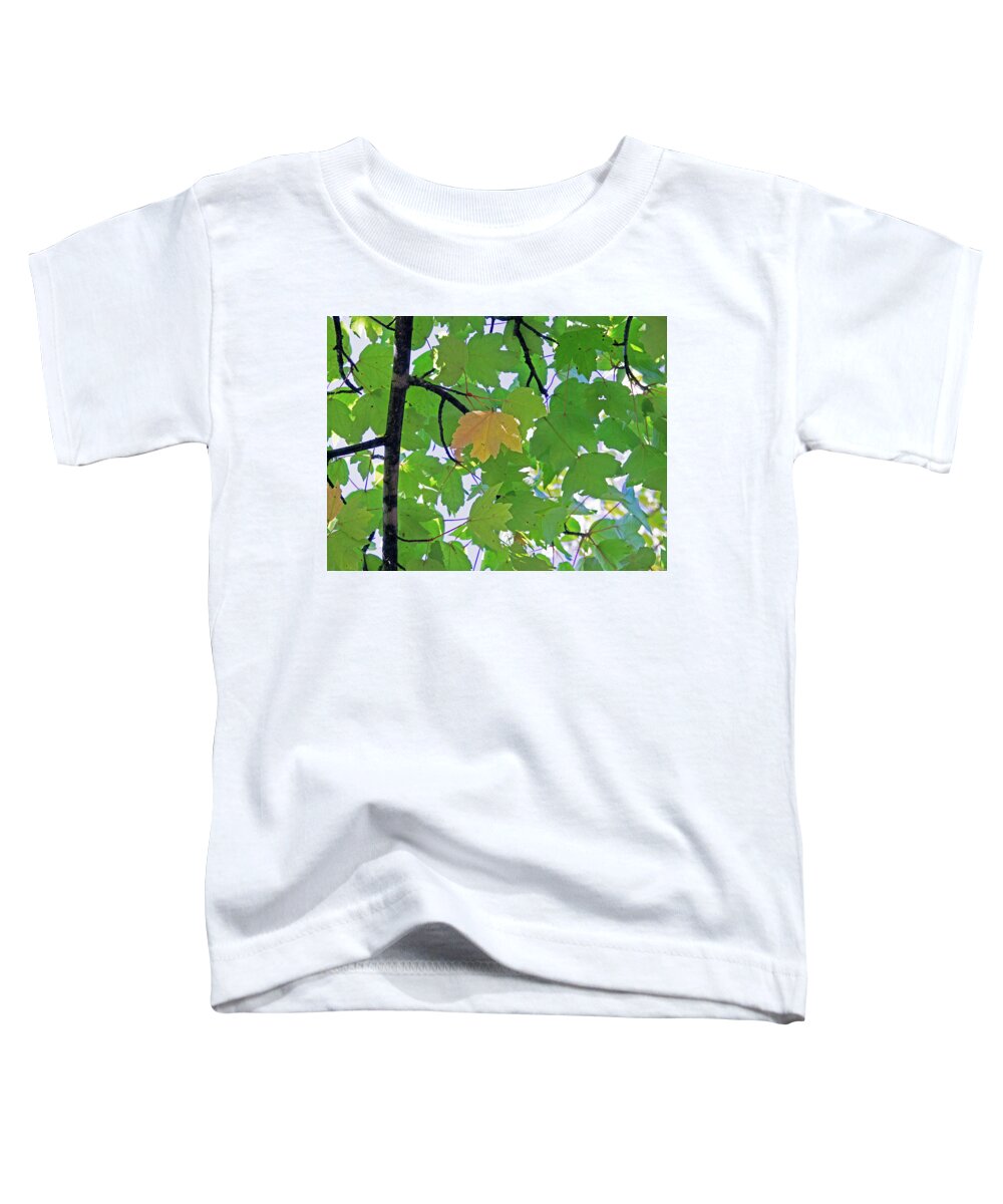 Background Toddler T-Shirt featuring the photograph A Canopy Of Leaves by David Desautel