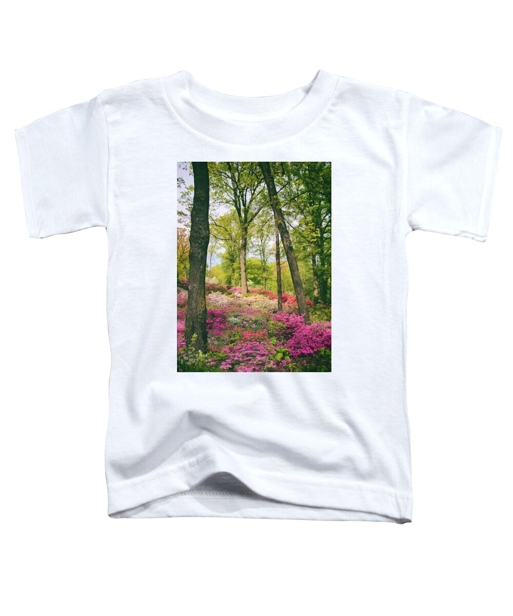 Azaleas Toddler T-Shirt featuring the photograph A Colorful Hillside by Jessica Jenney