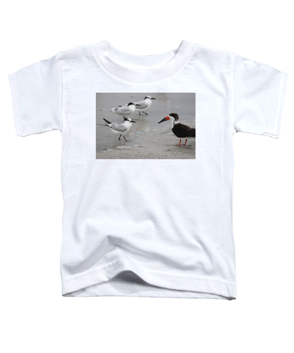 Terns Toddler T-Shirt featuring the photograph A Friendly Encounter by Mingming Jiang