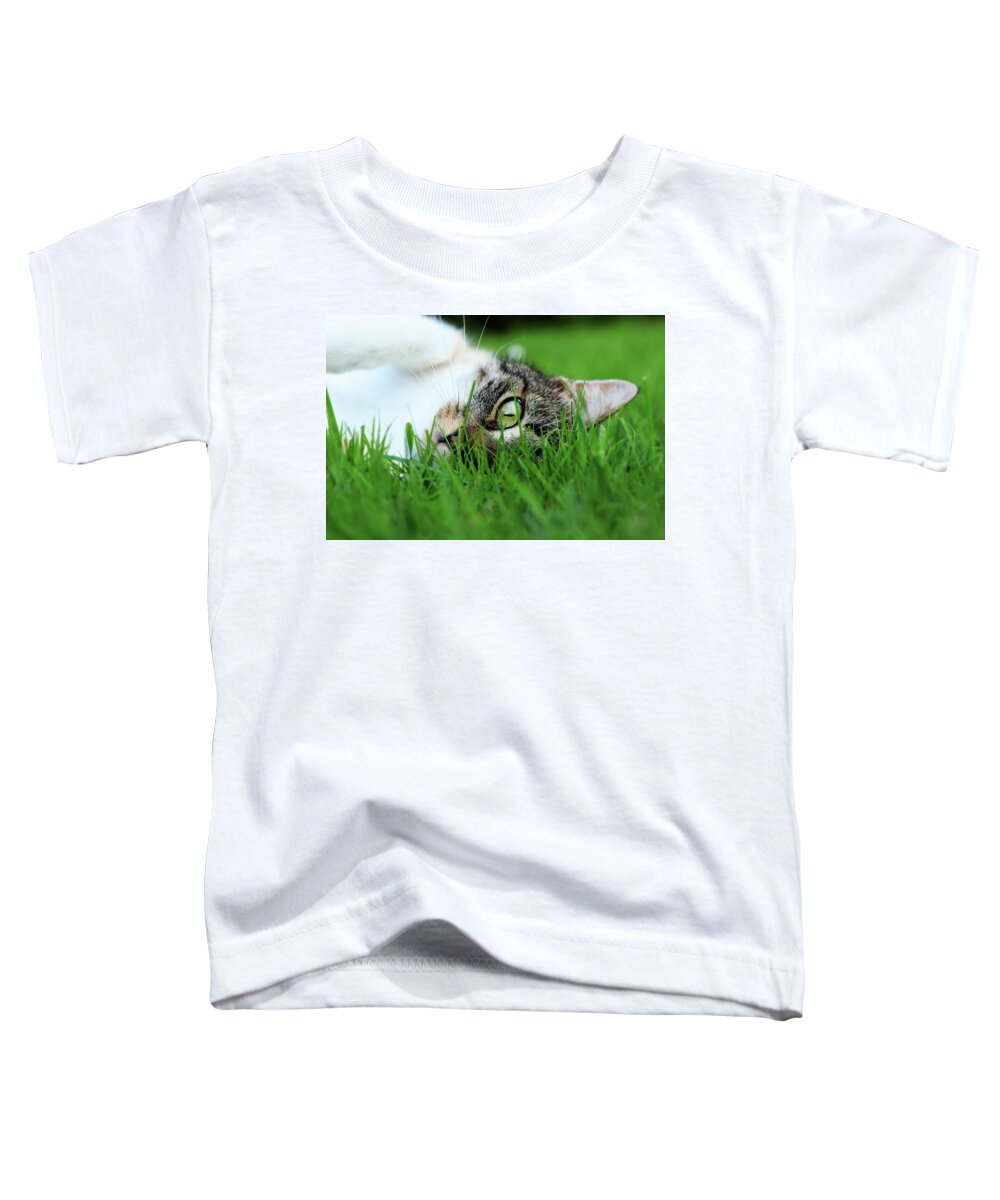 Domestic Cat Toddler T-Shirt featuring the photograph Tabby kitten lying in grass by Vaclav Sonnek