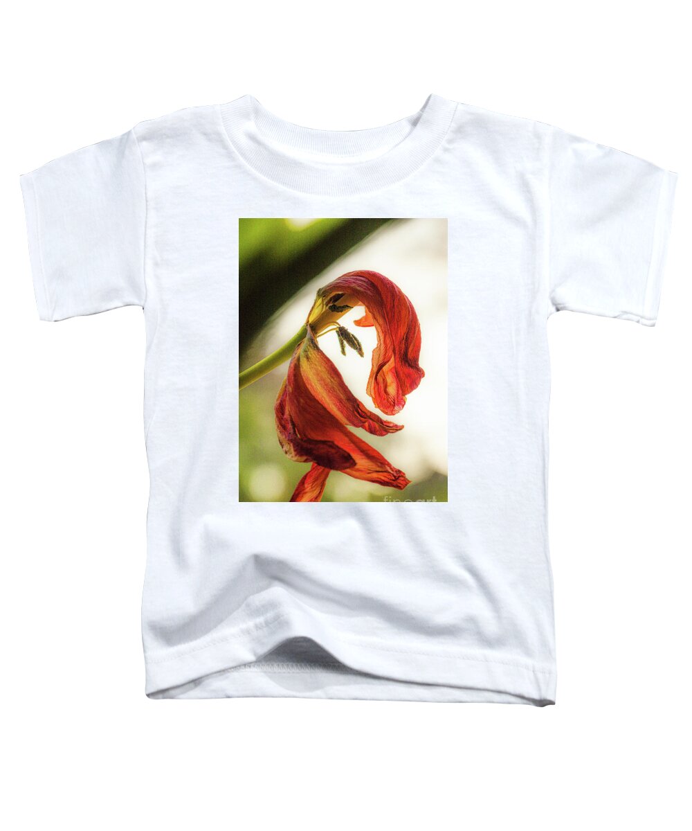 Bloem Toddler T-Shirt featuring the photograph A tulip's last bow by Casper Cammeraat