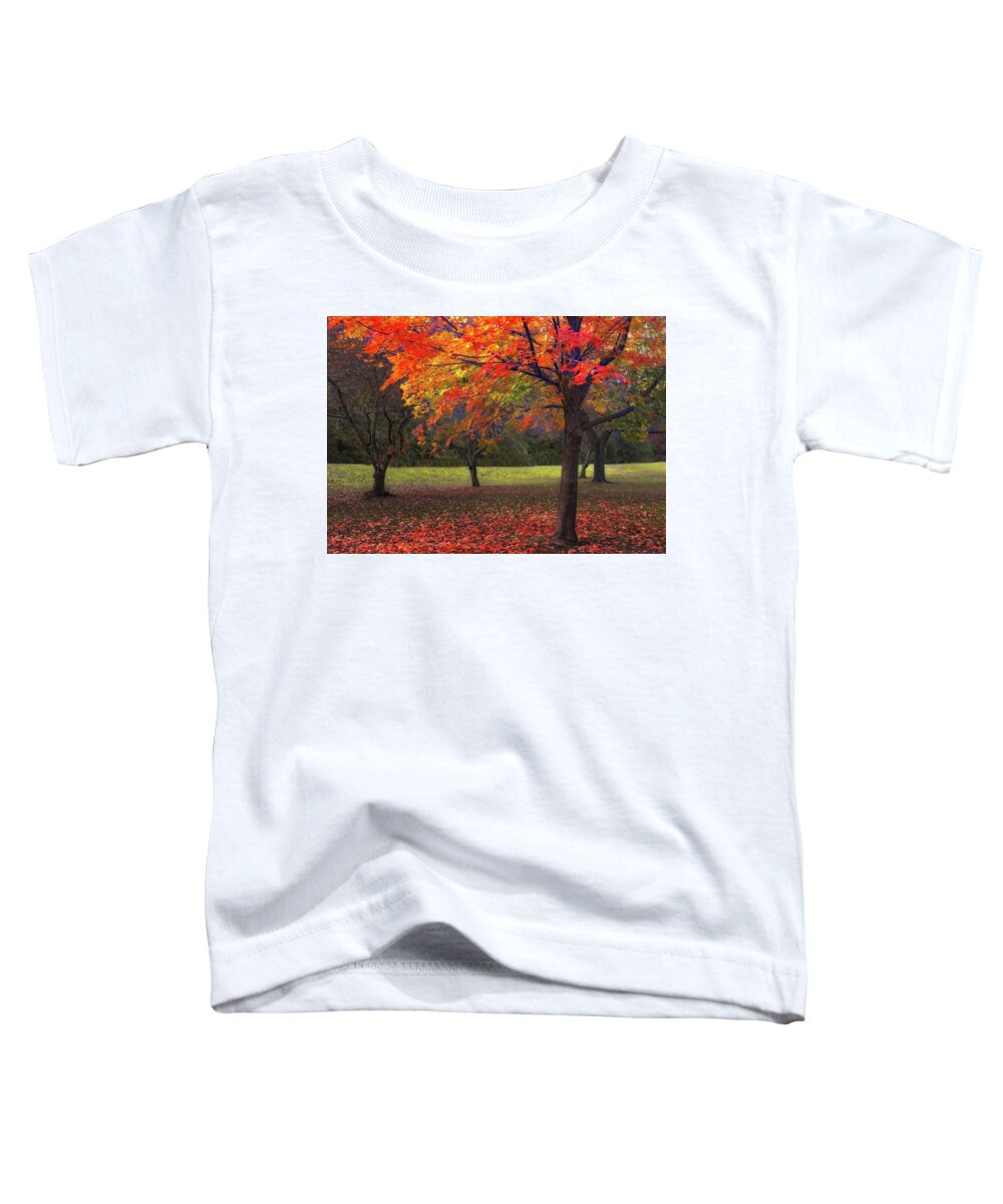 Autumn Toddler T-Shirt featuring the photograph Ablaze in Autumn by Jessica Jenney